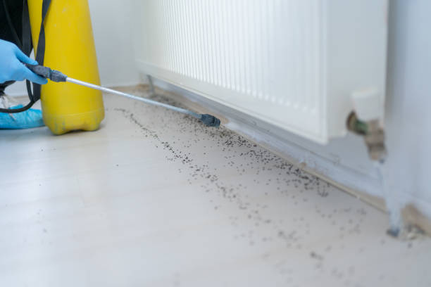 Best Cockroach Control Services  in Mulino, OR